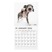 画像をギャラリービューアに読み込む, THE DOG 2026年カレンダー 大判サイズ（イタリアン・グレイハウンド）
