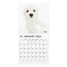 画像をギャラリービューアに読み込む, THE DOG 2026年カレンダー 大判サイズ（マルチーズ）

