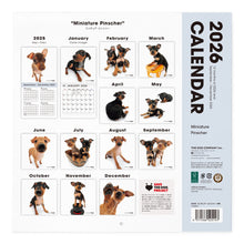 画像をギャラリービューアに読み込む, THE DOG 2026年カレンダー 大判サイズ（ミニチュア・ピンシャー）
