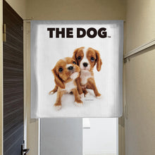 将图像阅读到画廊视图中， Noren 狗 Cavalier King Charles Spaniel（长度90厘米）
