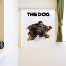 将图像阅读到画廊视图中， Noren THE DOG 德国牧羊犬（长90厘米）
