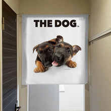 将图像阅读到画廊视图中， Noren THE DOG 德国牧羊犬（长90厘米）
