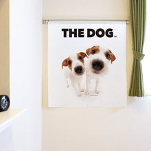 将图像阅读到画廊视图中， Noren 狗 Jack Russell Terrier（长度90厘米）
