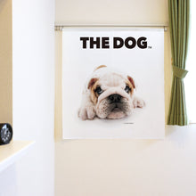 将图像阅读到画廊视图中， Noren THE DOG 斗牛犬（长90厘米）
