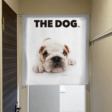 将图像阅读到画廊视图中， Noren THE DOG 斗牛犬（长90厘米）
