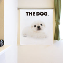将图像阅读到画廊视图中， Noren THE DOG 北京哈巴狗（长90cm）
