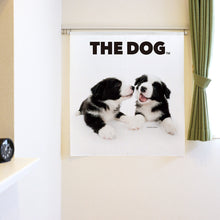 将图像阅读到画廊视图中， Noren THE DOG边境牧羊犬（90厘米长）
