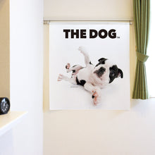 将图像阅读到画廊视图中， Noren THE DOG 波士顿梗犬（长 90 厘米）
