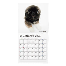 画像をギャラリービューアに読み込む, THE DOG 2026年カレンダー 大判サイズ（ペキニーズ）
