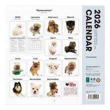 画像をギャラリービューアに読み込む, THE DOG 2026年カレンダー 大判サイズ（ポメラニアン）
