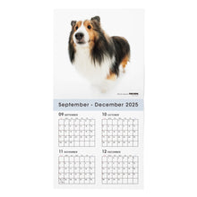 画像をギャラリービューアに読み込む, THE DOG 2026年カレンダー 大判サイズ（シェットランド・シープドッグ）
