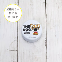 将图像阅读到画廊视图中， 狗×三个小吃帽奇瓦瓦
