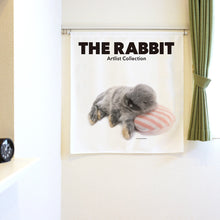 将图像阅读到画廊视图中， Noren THE RABBIT 兔子2号（长90cm）
