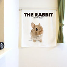 将图像阅读到画廊视图中， Noren THE RABBIT 兔子3（长90cm）
