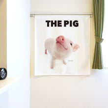 将图像阅读到画廊视图中， Noren THE PIG小猪（粉色1条90cm长）
