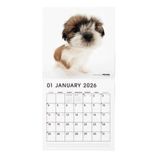 画像をギャラリービューアに読み込む, THE DOG 2026年カレンダー 大判サイズ（シー・ズー）
