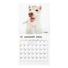 画像をギャラリービューアに読み込む, THE DOG 2026年カレンダー 大判サイズ（シベリアン・ハスキー）
