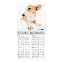 画像をギャラリービューアに読み込む, THE DOG 2026年カレンダー 大判サイズ（ウェルシュ・コーギー）
