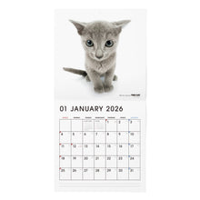 Read the image into the gallery view, THE CAT 2026年カレンダー 大判サイズ （ロシアンブルー）
