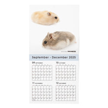 将图像阅读到画廊视图中， THE HAMSTER 2026年カレンダー 大判サイズ
