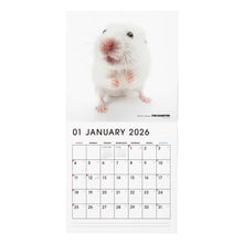将图像阅读到画廊视图中， THE HAMSTER 2026年カレンダー 大判サイズ
