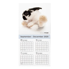 将图像阅读到画廊视图中， THE RABBIT 2026年カレンダー 大判サイズ
