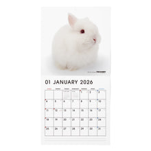 将图像阅读到画廊视图中， THE RABBIT 2026年カレンダー 大判サイズ
