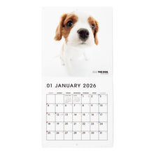 画像をギャラリービューアに読み込む, THE DOG 2026年カレンダー ミニサイズ（キャバリア・キング・チャールズ・スパニエル）
