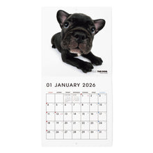画像をギャラリービューアに読み込む, THE DOG 2026年カレンダー ミニサイズ（フレンチ・ブルドッグ）
