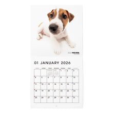 画像をギャラリービューアに読み込む, THE DOG 2026年カレンダー ミニサイズ（ジャック・ラッセル・テリア）
