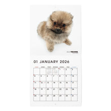 将图像阅读到画廊视图中， THE DOG 2026年カレンダー ミニサイズ（ポメラニアン）
