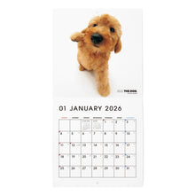 画像をギャラリービューアに読み込む, THE DOG 2026年カレンダー ミニサイズ（プードル）
