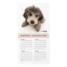 画像をギャラリービューアに読み込む, THE DOG 2026年カレンダー ミニサイズ（プードル）
