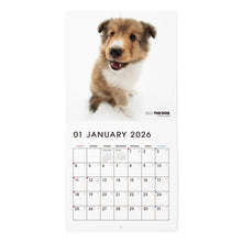 画像をギャラリービューアに読み込む, THE DOG 2026年カレンダー ミニサイズ（シェットランド・シープドッグ）
