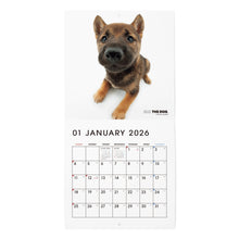 画像をギャラリービューアに読み込む, THE DOG 2026年カレンダー ミニサイズ（柴）
