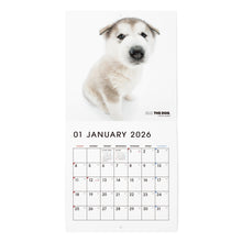 画像をギャラリービューアに読み込む, THE DOG 2026年カレンダー ミニサイズ トリオ（秋田/アラスカン・マラミュート/フラットコーテッド・レトリーバー ）
