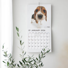 画像をギャラリービューアに読み込む, THE DOG 2026年カレンダー 大判サイズ（バーニーズ・マウンテン・ドッグ）
