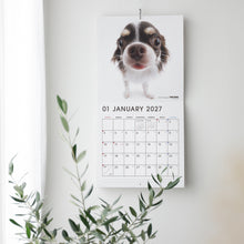 画像をギャラリービューアに読み込む, THE DOG 2027年カレンダー 大判サイズ（ブル・テリア）【8月下旬より順次発送予定】
