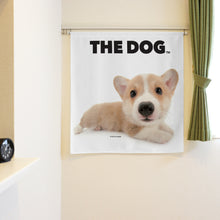 将图像阅读到画廊视图中， Noren 狗威尔士Corgi（长90厘米）
