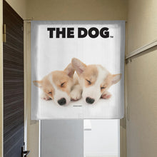将图像阅读到画廊视图中， Noren 狗威尔士Corgi（长2 90厘米）
