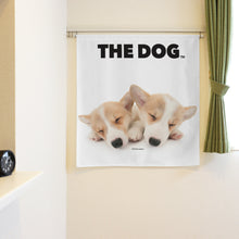 将图像阅读到画廊视图中， Noren 狗威尔士Corgi（长2 90厘米）
