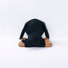 Read the image into the gallery view, THE DOG Plush BIG (Dachshund) Dachshund
