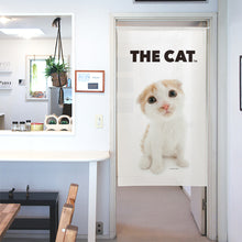 갤러리보기에 이미지를 읽고 Noren 고양이 스코틀랜드 폴드 (크림 150cm 길이)
