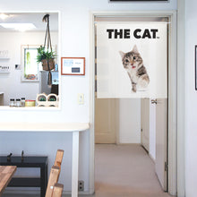将图像阅读到画廊视图中， Noren 猫挪威森林猫（长90厘米）
