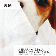 画像をギャラリービューアに読み込む, のれん THE DOG ラブラドール・レトリーバー（イエロー 150cm丈）
