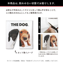 将图像阅读到画廊视图中， Noren 狗法国Burdog（长90厘米）
